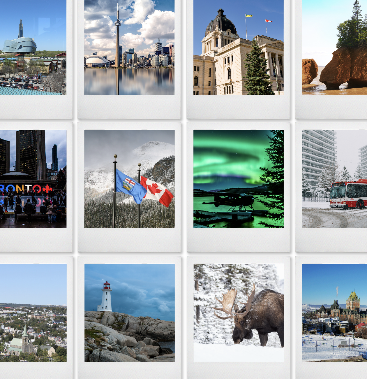 Immigration Services